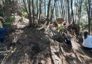 Prevenção dos fogos rurais e florestais – “No terreno, ainda há muitíssimo por fazer”
